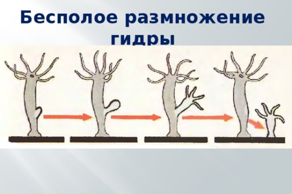 Сайты типа гидры