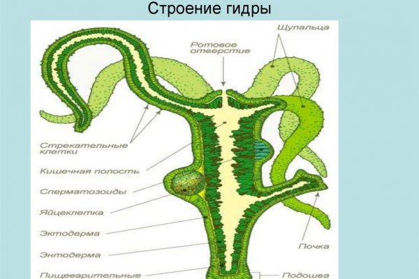 Кракен топ