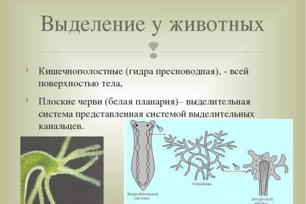 Кракен тор krakendark krakendark link