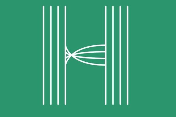 Kraken kraken link24 info
