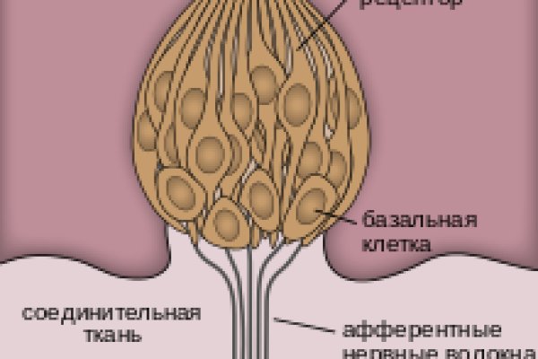 Кракен питер