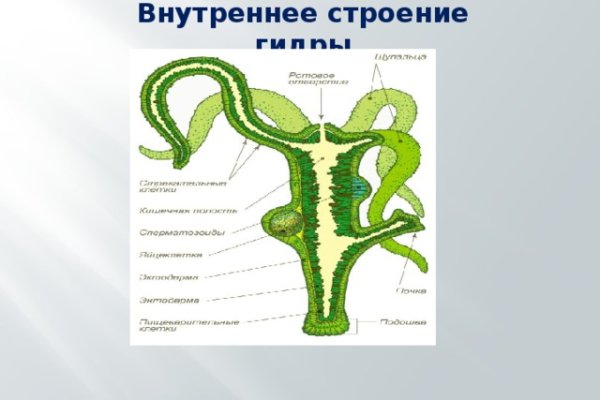 Kraken 2025 ссылка