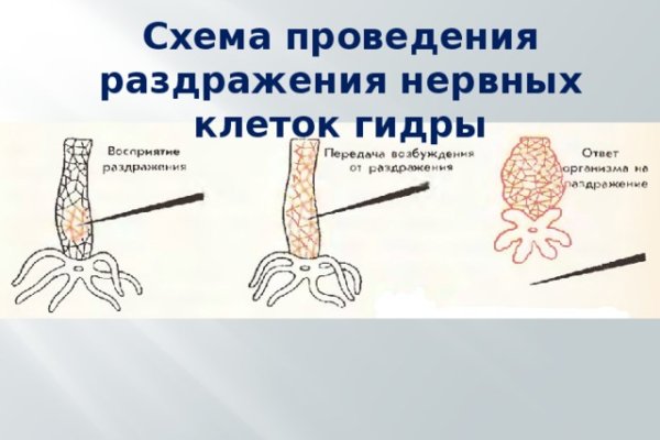 Кракен 16