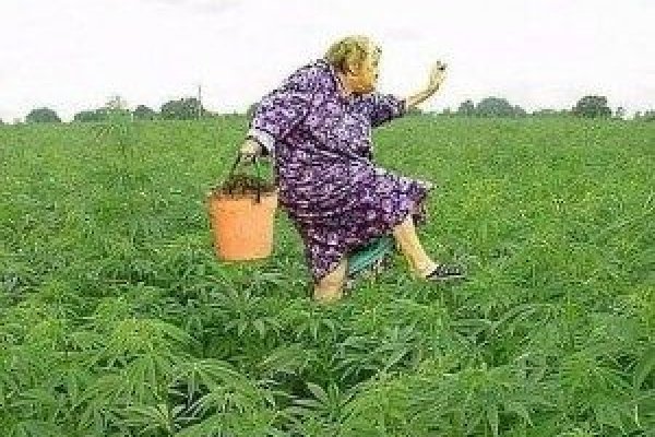 Кракен настоящее зеркало