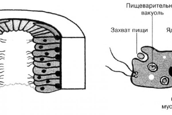 Кракен 2krnk