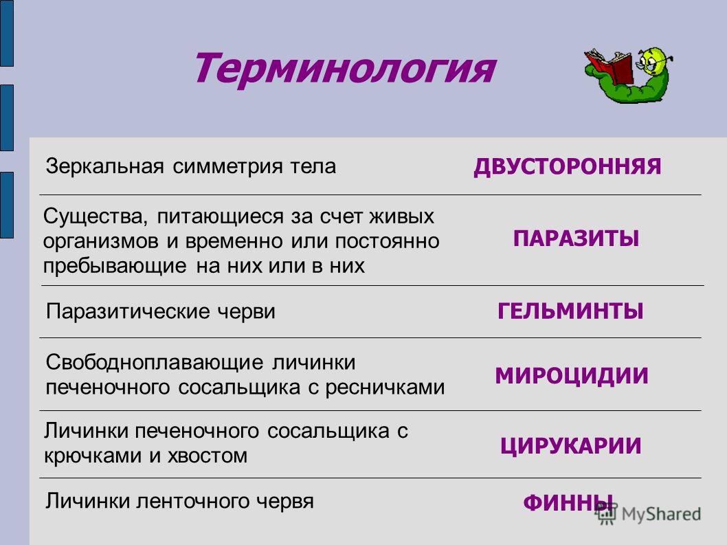 Кракен сайт продаж