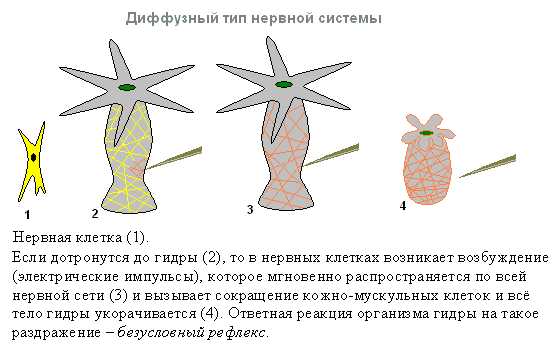 Кракен последние ссылки